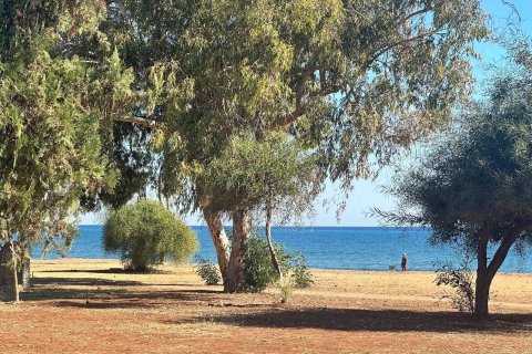 1+1 Lejlighed i Mezitli, Mersin, Tyrkiet Nr. 189004 - 13