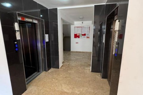 Продажа квартиры  в Аланье, Анталье, Турция студия, 40м2, №192040 – фото 7