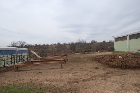 Продажа земельного участка в Кыркларели, Турция, 540000м2, №184419 – фото 18