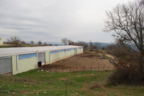 Продажа земельного участка в Кыркларели, Турция, 540000м2, №184419 – фото 17