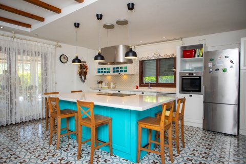 6+1 Villa i Izmir, Tyrkiet Nr. 188863 - 13