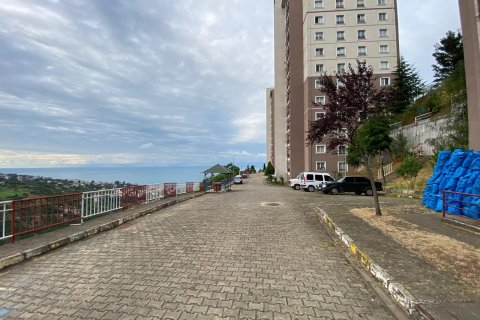2+1 Leilighet  i Akcaabat, Trabzon, Tyrkia Nr. 193014 - 21
