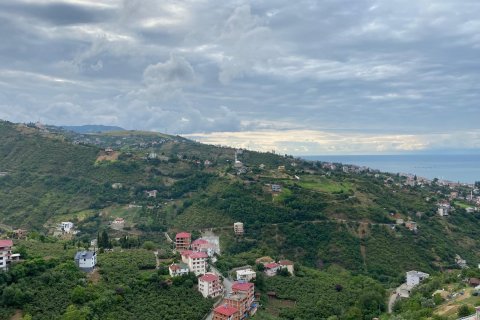 2+1 Leilighet  i Akcaabat, Trabzon, Tyrkia Nr. 193014 - 19
