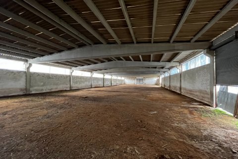 Продажа земельного участка в Кыркларели, Турция, 540000м2, №184419 – фото 10