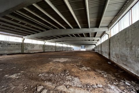 Продажа земельного участка в Кыркларели, Турция, 540000м2, №184419 – фото 11