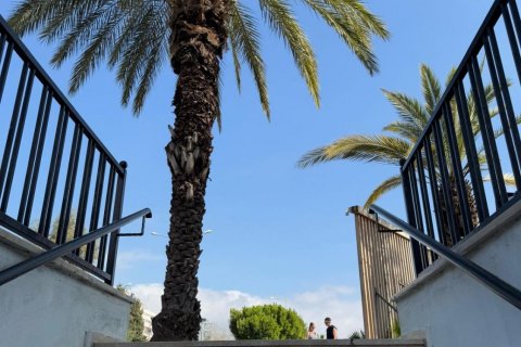 2+1 Wohnung  in Alanya, Antalya, Türkei Nr. 191260 - 20