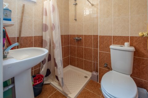 ویلا در Alanya ، ترکیه 250 متر مربع. شماره 192877 - 21