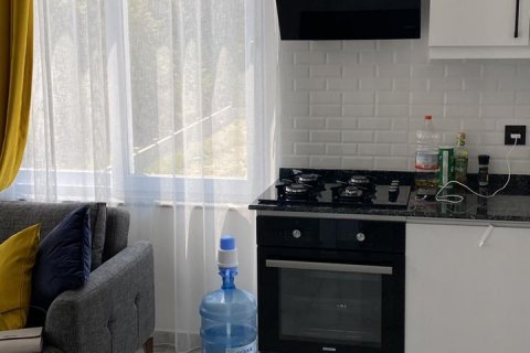 1+1 Lejlighed  i Alanya, Antalya, Tyrkiet Nr. 191231 - 10