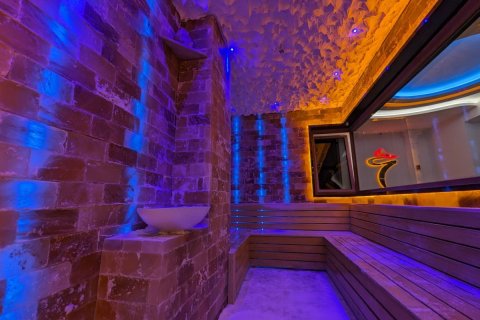 1+1 Wohnung  in Alanya, Antalya, Türkei Nr. 191716 - 16