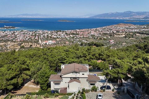 6+1 Villa  i Izmir, Turkiet Nr. 186955 - 6
