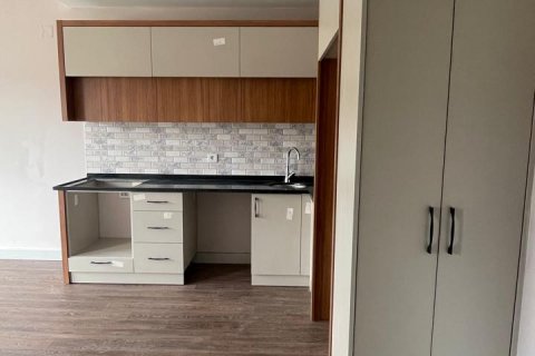 1+1 Wohnung in Mersin, Türkei Nr. 190528 - 1