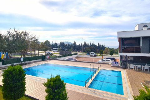 Kuşadası, Aydın, Türkiye №184060 - 4