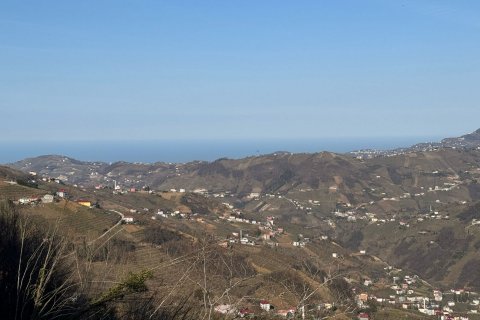   i Akcaabat, Trabzon, Tyrkiet Nr. 188039 - 15