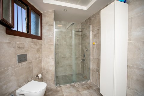 6+1 Villa i Izmir, Tyrkiet Nr. 188863 - 20