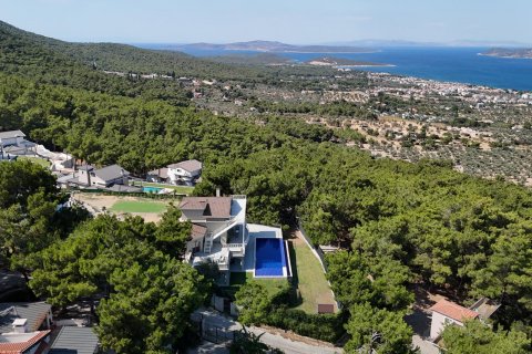 6+1 Villa  i Izmir, Turkiet Nr. 186955 - 2