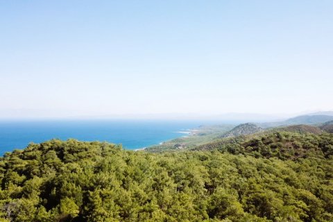 for sale  in Datca, Mugla, Turkey, 4 bedrooms, 500m2, No. 211732 – photo 24