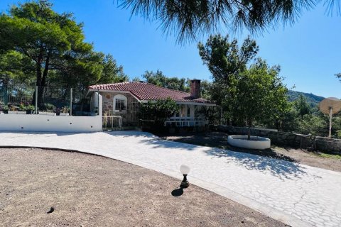 for sale  in Datca, Mugla, Turkey, 4 bedrooms, 500m2, No. 211732 – photo 23