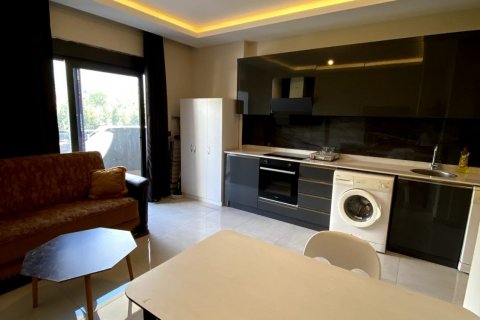 1+0 Lägenhet  i Alanya, Antalya, Turkiet Nr. 191508 - 22