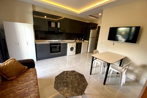 1+0 Lägenhet  i Alanya, Antalya, Turkiet Nr. 191508 - 23