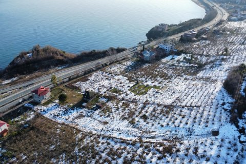 Продажа земельного участка  в Араклы, Трабзоне, Турция, 2.234м2, №186915 – фото 8