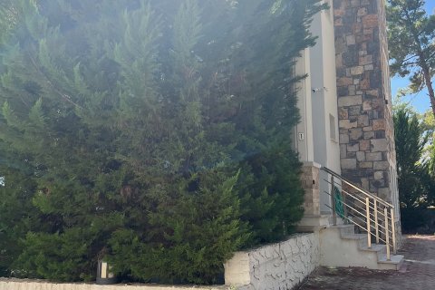 Продажа виллы  в Гёчеке, Мугле, Турция 4+2, 350м2, №194206 – фото 13