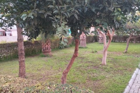 Apartment for sale in Mahmutlar, Antalya, Turkey, 2 bedrooms, 140m2, No. 183882 – photo 4