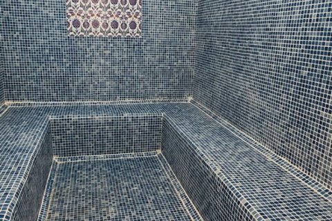 3+1 Lägenhet  i Alanya, Antalya, Turkiet Nr. 192651 - 17