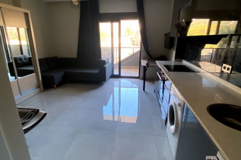 1+0 Lägenhet  i Alanya, Antalya, Turkiet Nr. 191508 - 15
