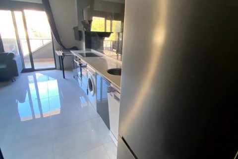 1+0 Lägenhet  i Alanya, Antalya, Turkiet Nr. 191508 - 17