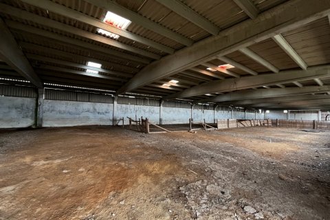 Продажа земельного участка в Кыркларели, Турция, 540000м2, №184419 – фото 12