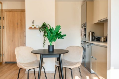 1+1 Wohnung  in Kâğıthane, Istanbul, Türkei Nr. 186634 - 14