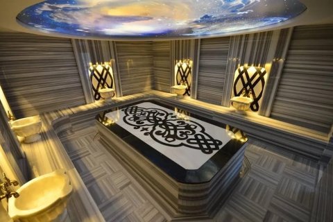 2+0 Lejlighed  i Alanya, Antalya, Tyrkiet Nr. 191580 - 18