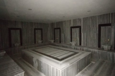 2+1 Lägenhet  i Alanya, Antalya, Turkiet Nr. 193120 - 16