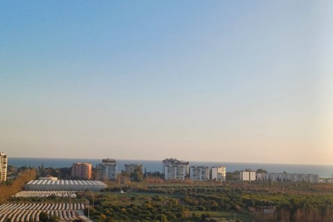 Продажа квартиры  в Мерсине, Турция студия, 40м2, №187013 – фото 4