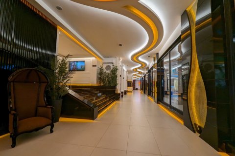 1+1 Wohnung  in Alanya, Antalya, Türkei Nr. 191716 - 13