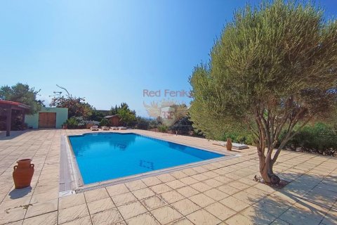 Продажа виллы  в Гирне, Северный Кипр 4+1, 287м2, №187895 – фото 6