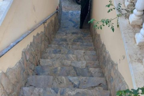 Villa i Kargicak, Alanya, Antalya, Tyrkia Nr. 193825 - 22