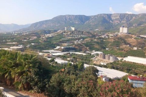 Villa i Kargicak, Alanya, Antalya, Tyrkia Nr. 193825 - 18