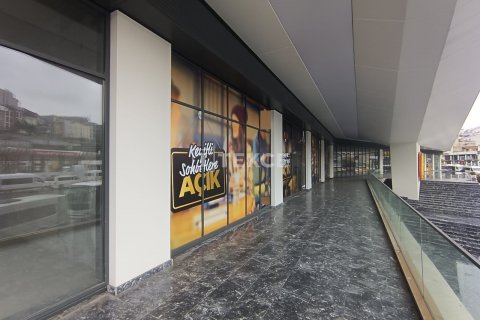 Næringseiendom  i Istanbul, Tyrkia Nr. 193619 - 1