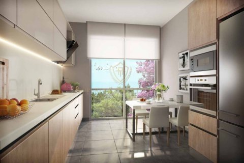 1+1 Lejlighed  i Besiktas, Istanbul, Tyrkiet Nr. 193621 - 1