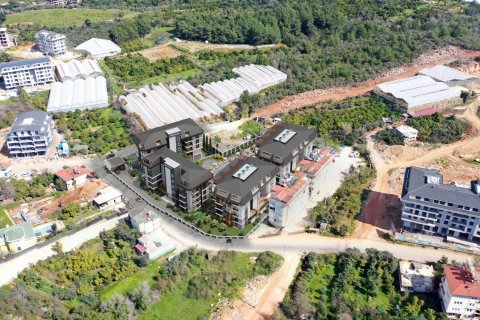 Продажа квартиры  в Аланье, Анталье, Турция 1+1, №185753 – фото 5