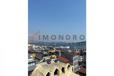 آپارتمان در Beyoglu،  Istanbul ، امارات متحده عربی 1 خوابه ، 65 متر مربع.  شماره 188349 - 14
