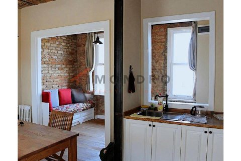 آپارتمان در Beyoglu،  Istanbul ، امارات متحده عربی 1 خوابه ، 65 متر مربع.  شماره 188349 - 3