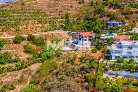 Продажа квартиры  в Аланье, Анталье, Турция, 553м2, №189761 – фото 9