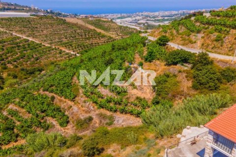 Продажа квартиры  в Аланье, Анталье, Турция, 553м2, №189761 – фото 14