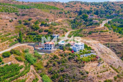 Продажа квартиры  в Аланье, Анталье, Турция, 553м2, №189761 – фото 13