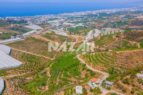 Продажа квартиры  в Аланье, Анталье, Турция, 553м2, №189761 – фото 15