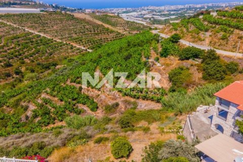 Продажа квартиры  в Аланье, Анталье, Турция, 553м2, №189761 – фото 11