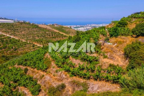 Продажа квартиры  в Аланье, Анталье, Турция, 553м2, №189761 – фото 1