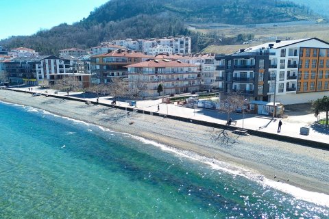 Продажа квартиры  в Чинарджике, Ялове, Турция 4+1, 221м2, №193392 – фото 8